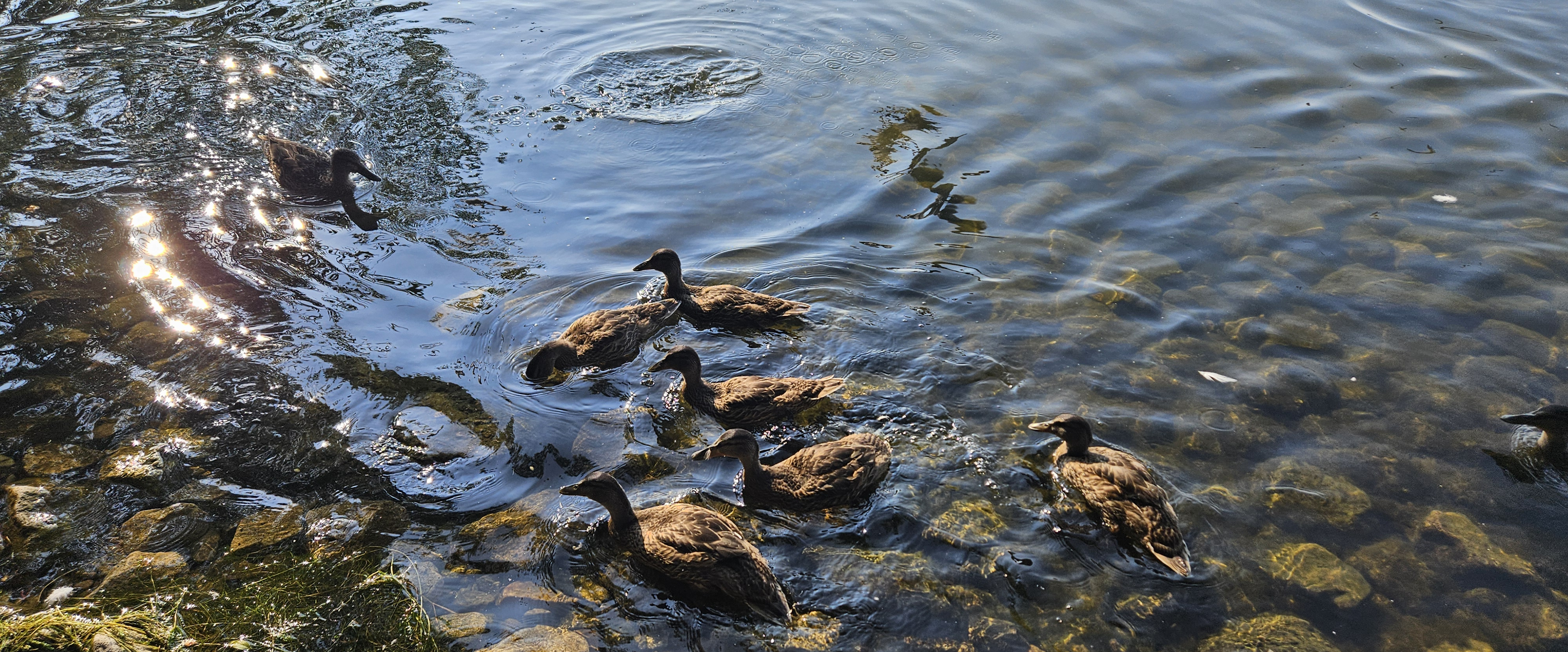 challenge background