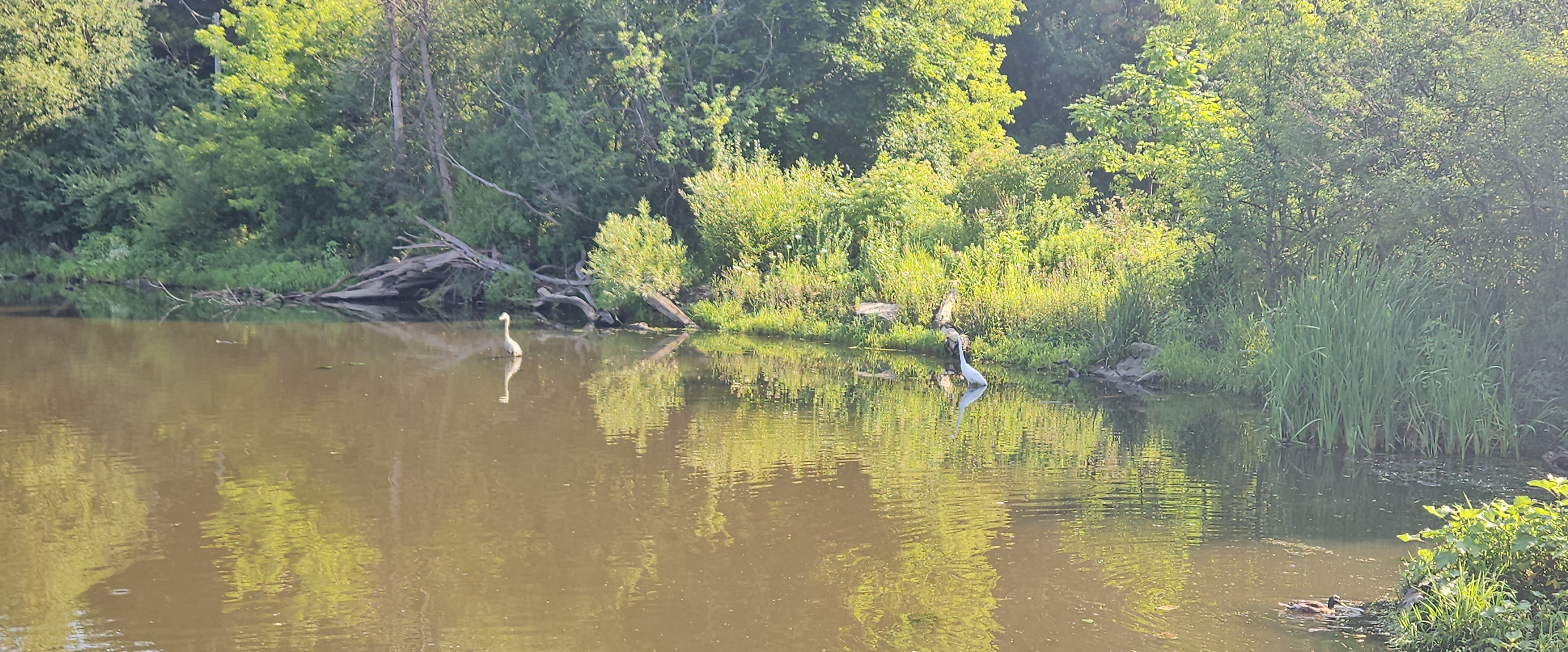 challenge background