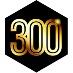 300KπΎ#16 icon
