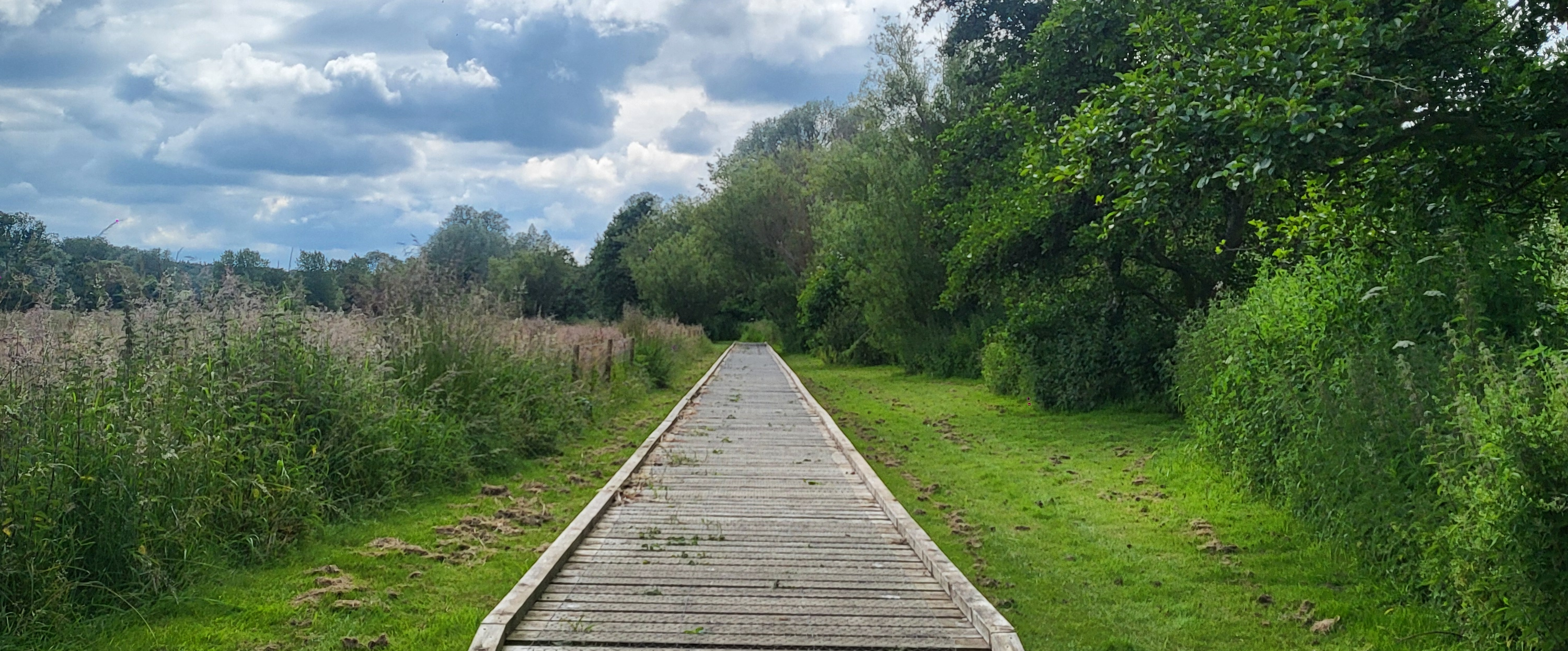 challenge background