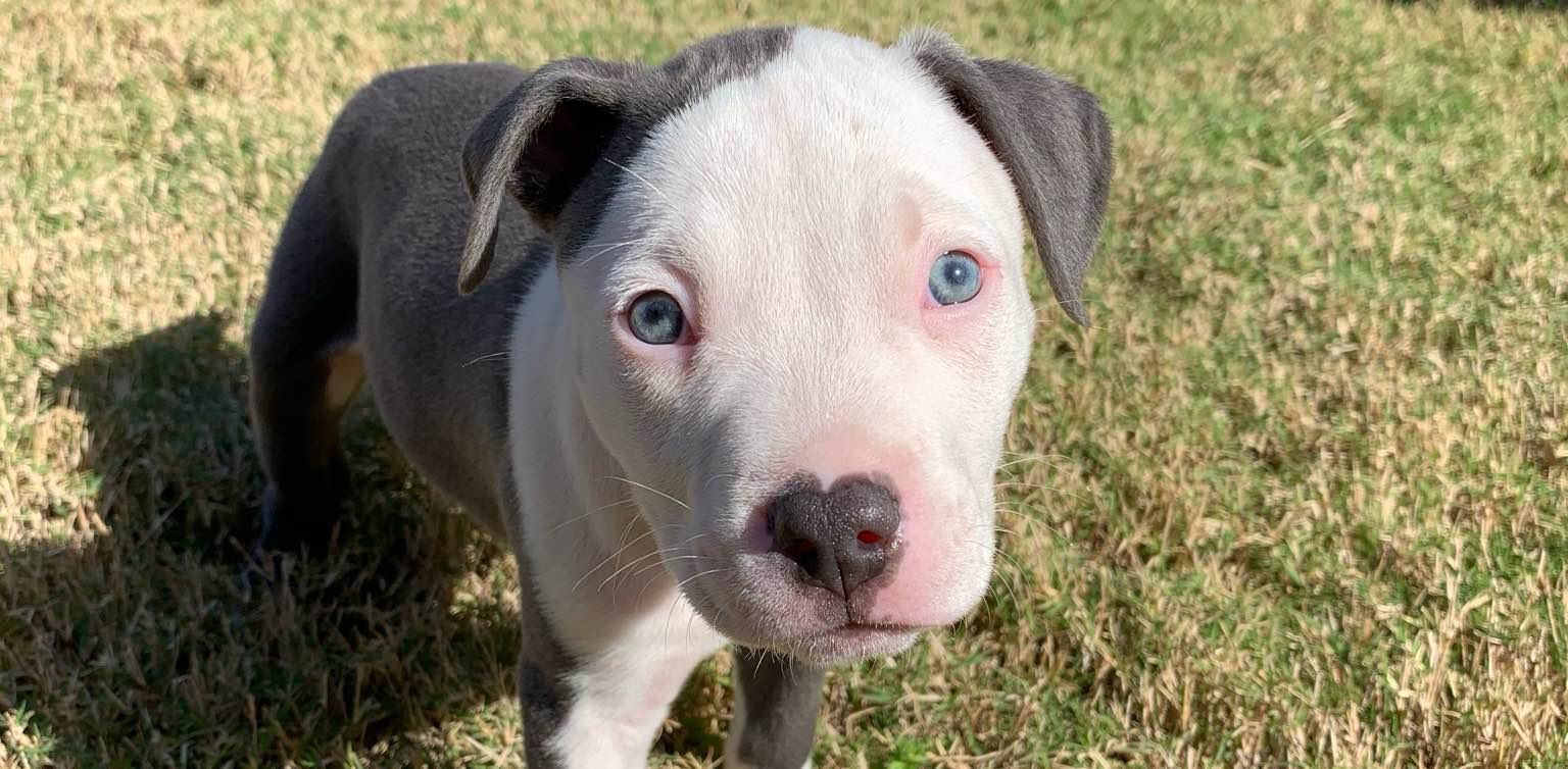 challenge background