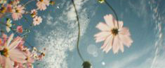 HAPPY BIRTHDAYπ« π€{AUGUST}π©·β¨οΈ logo
