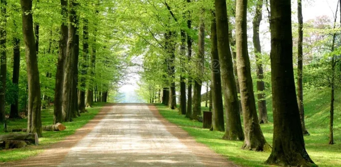 challenge background