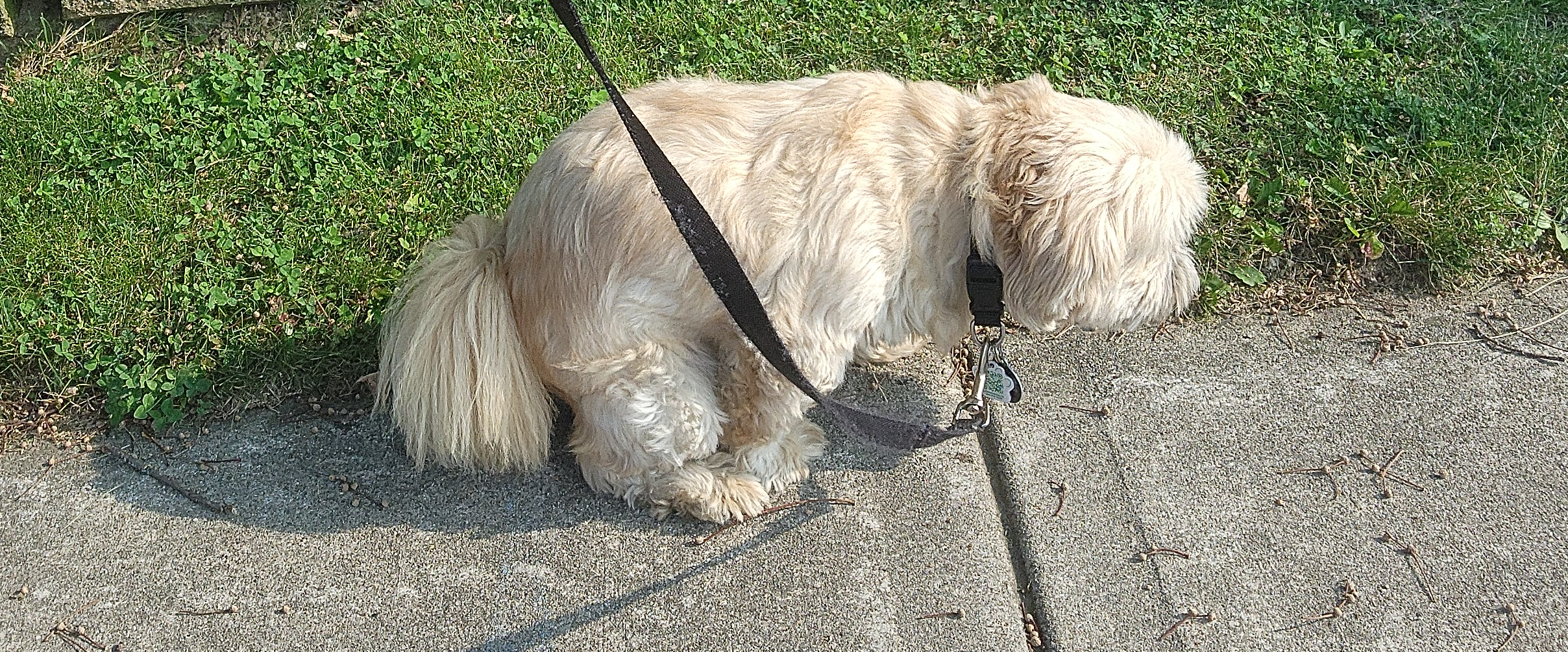 challenge background