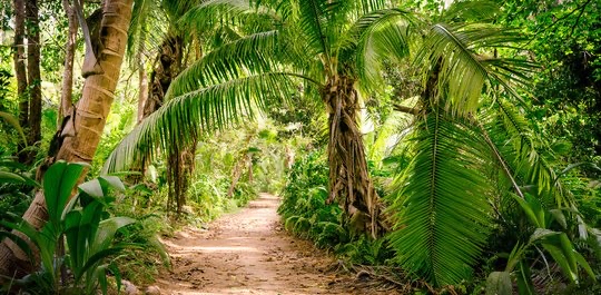 challenge background