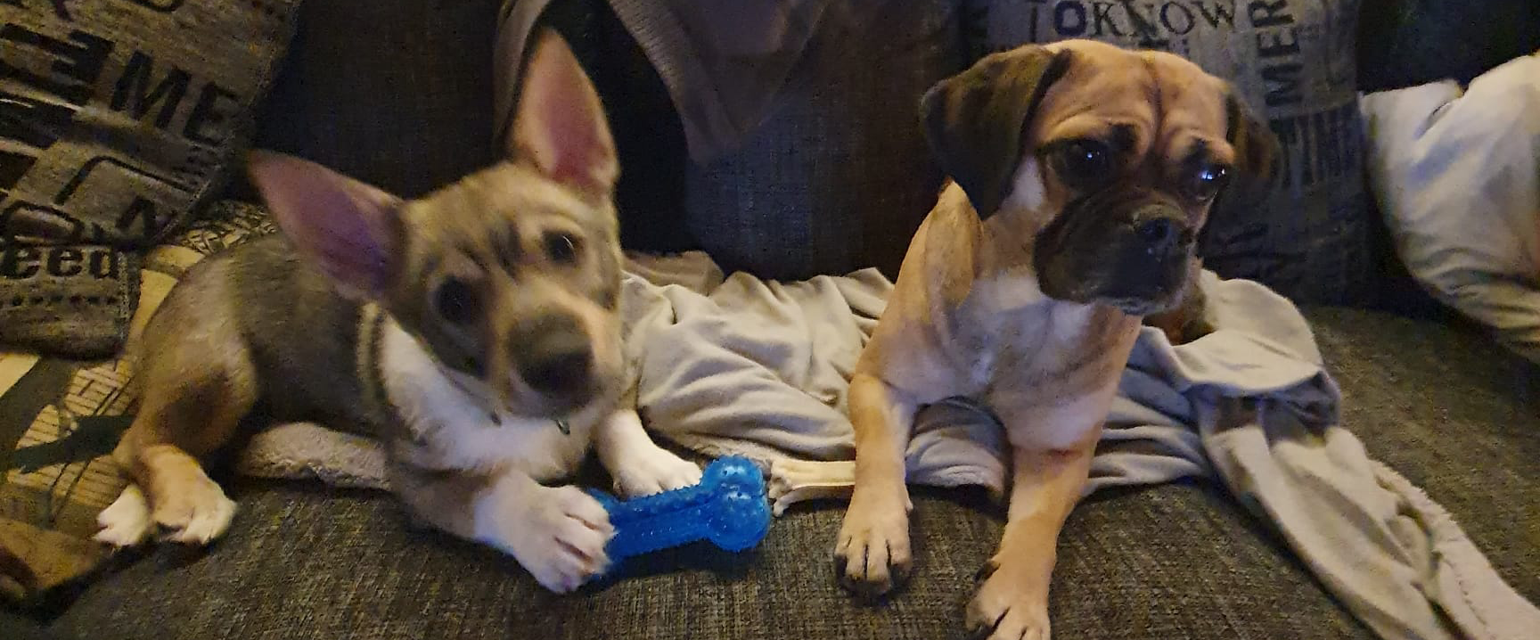 challenge background