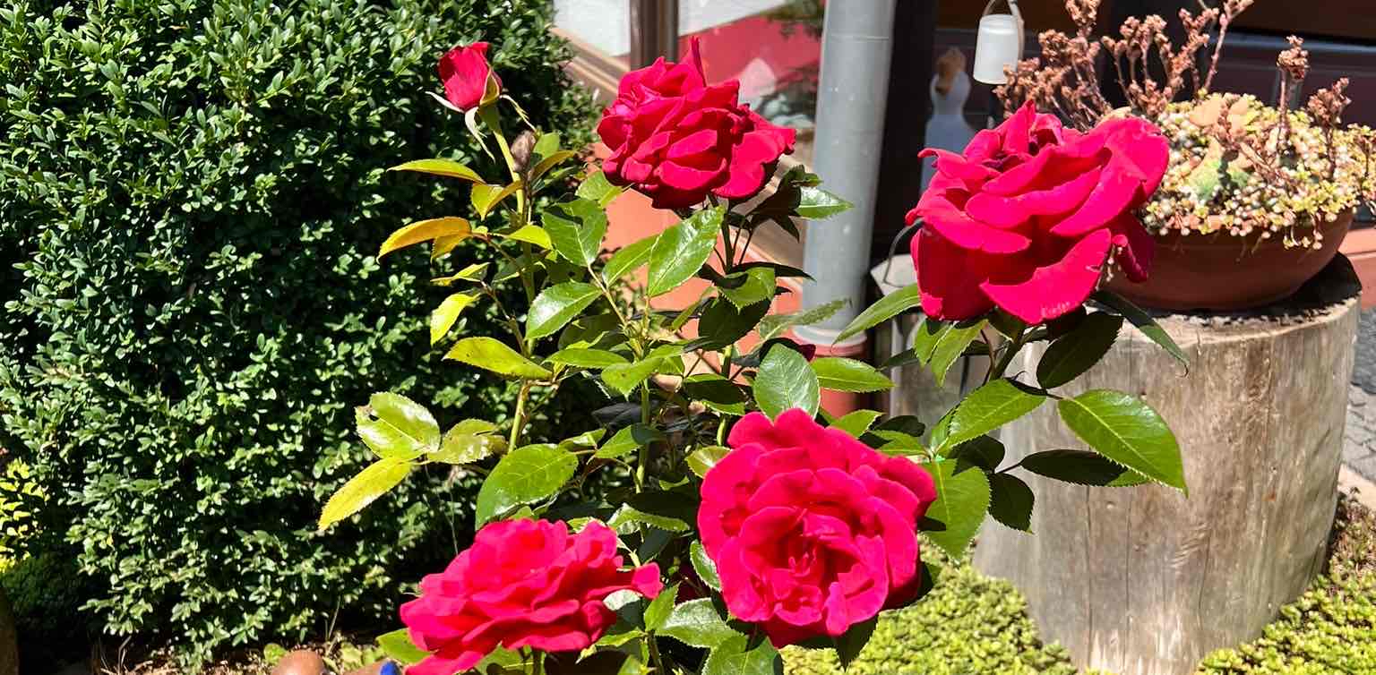 challenge background