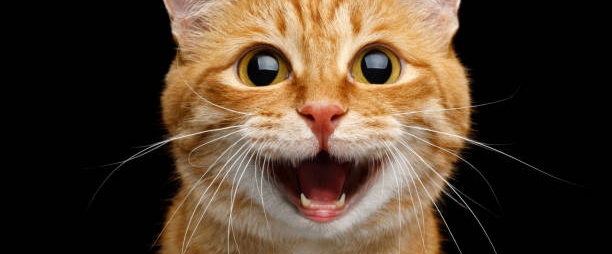 challenge background