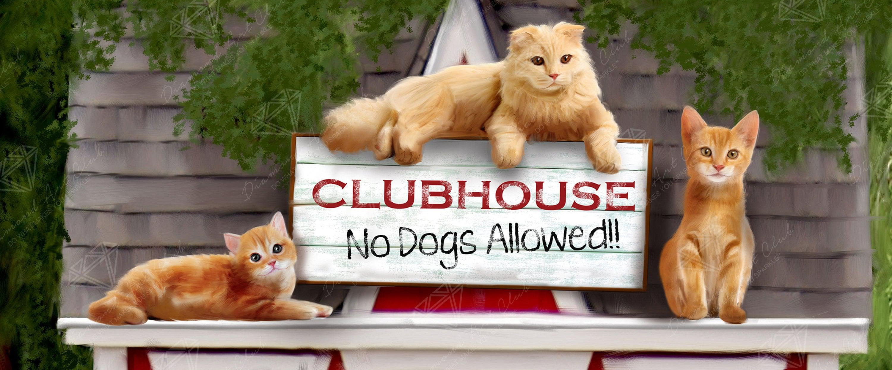 challenge background