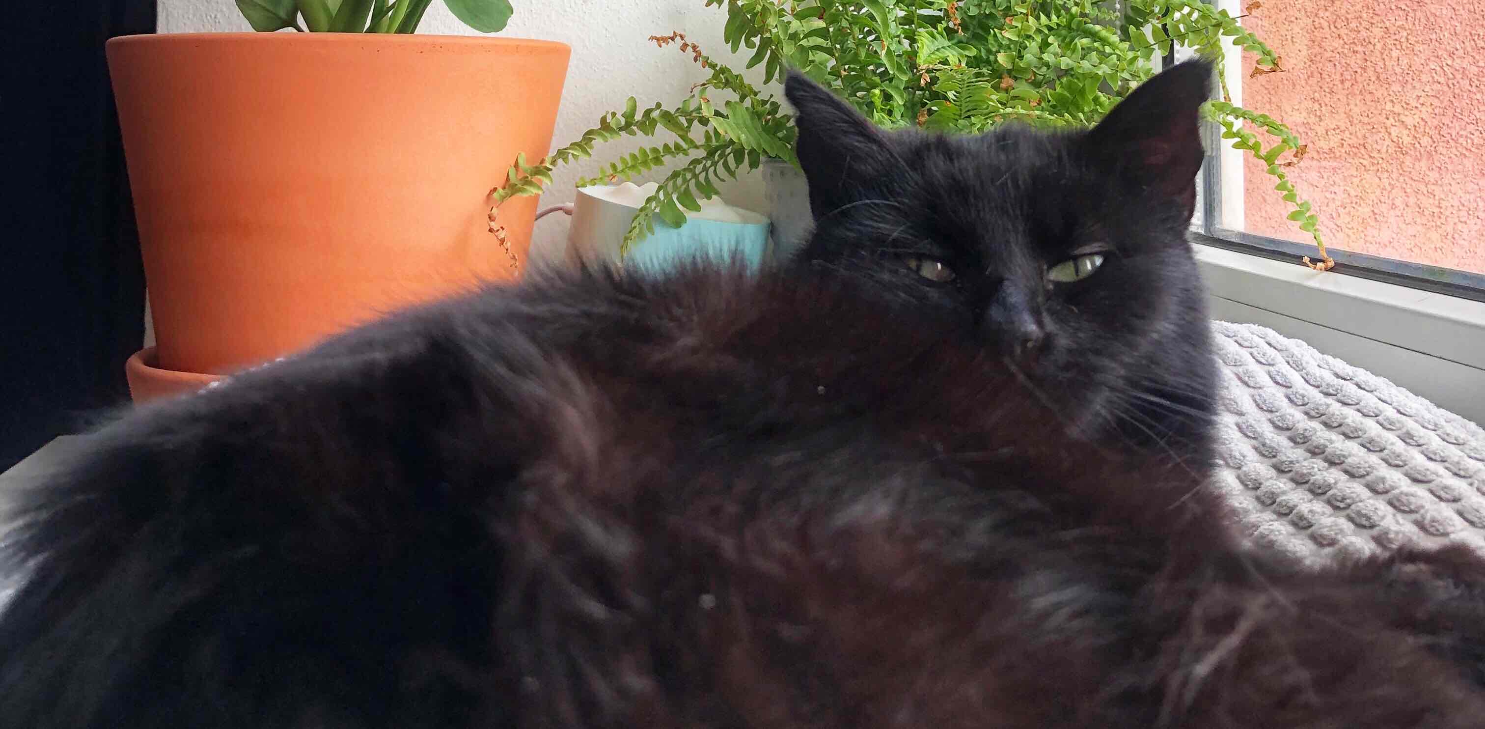 challenge background