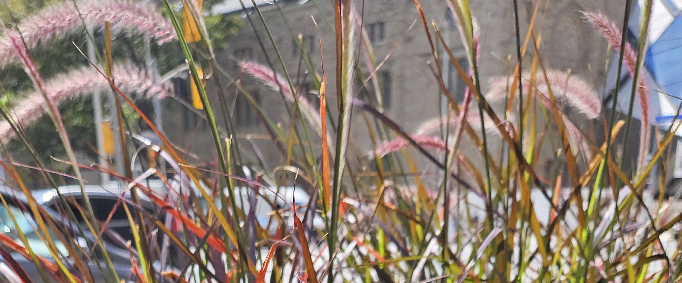 challenge background