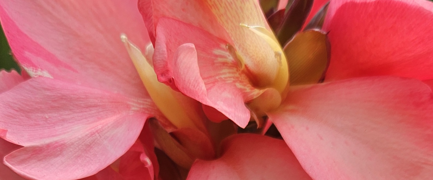 challenge background