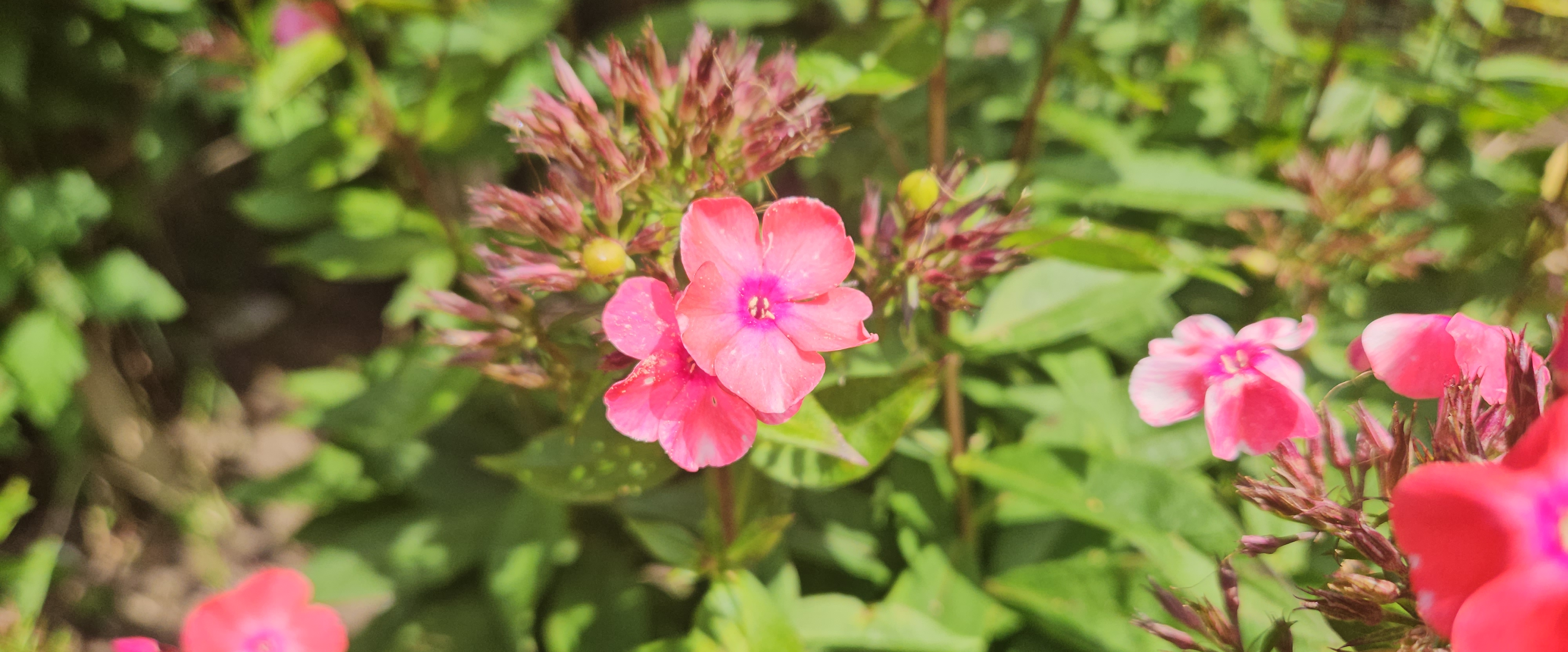 challenge background