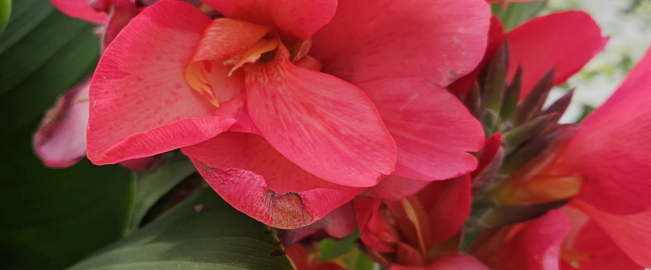 challenge background