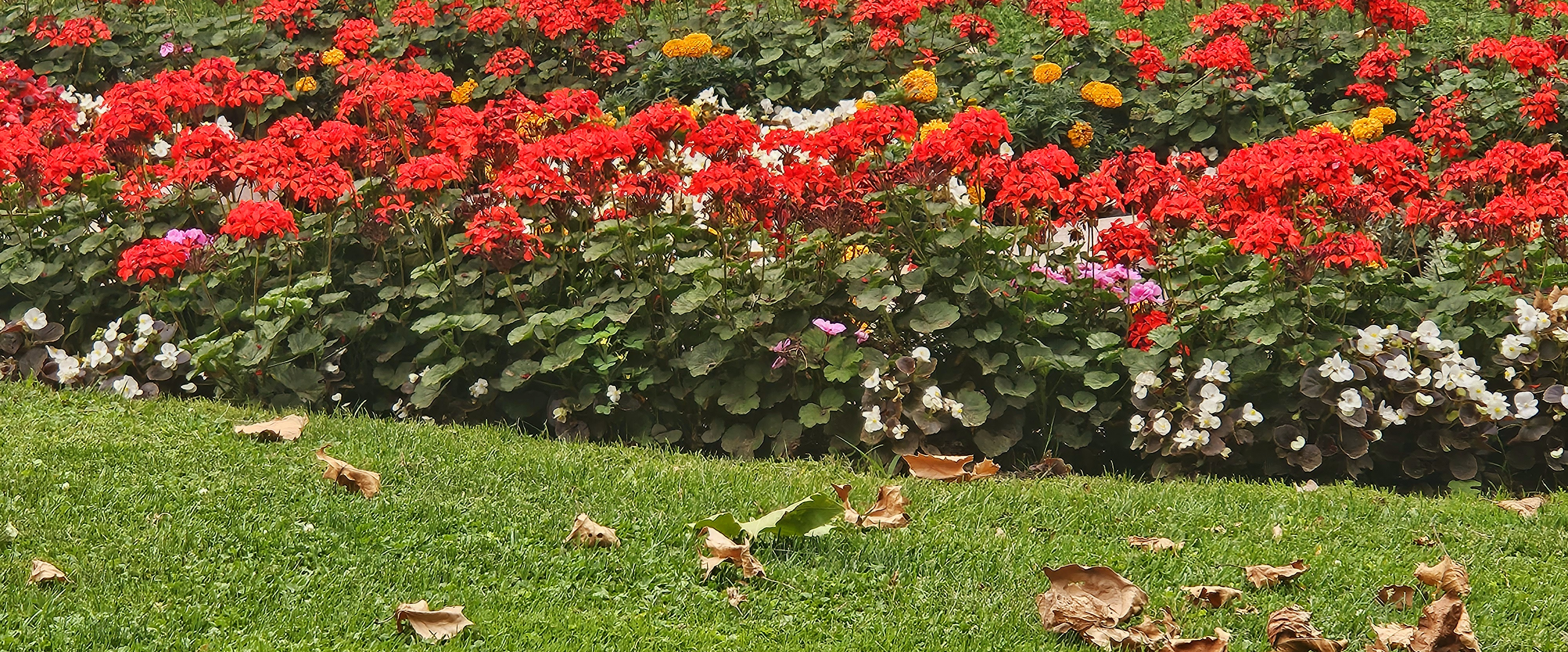 challenge background