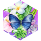 AUGUST FESTIVAL icon