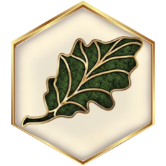 🍃🌻🍂 Бархатный сезон 🍃🌻🍂 icon