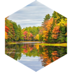 September Most Steps Challenge icon