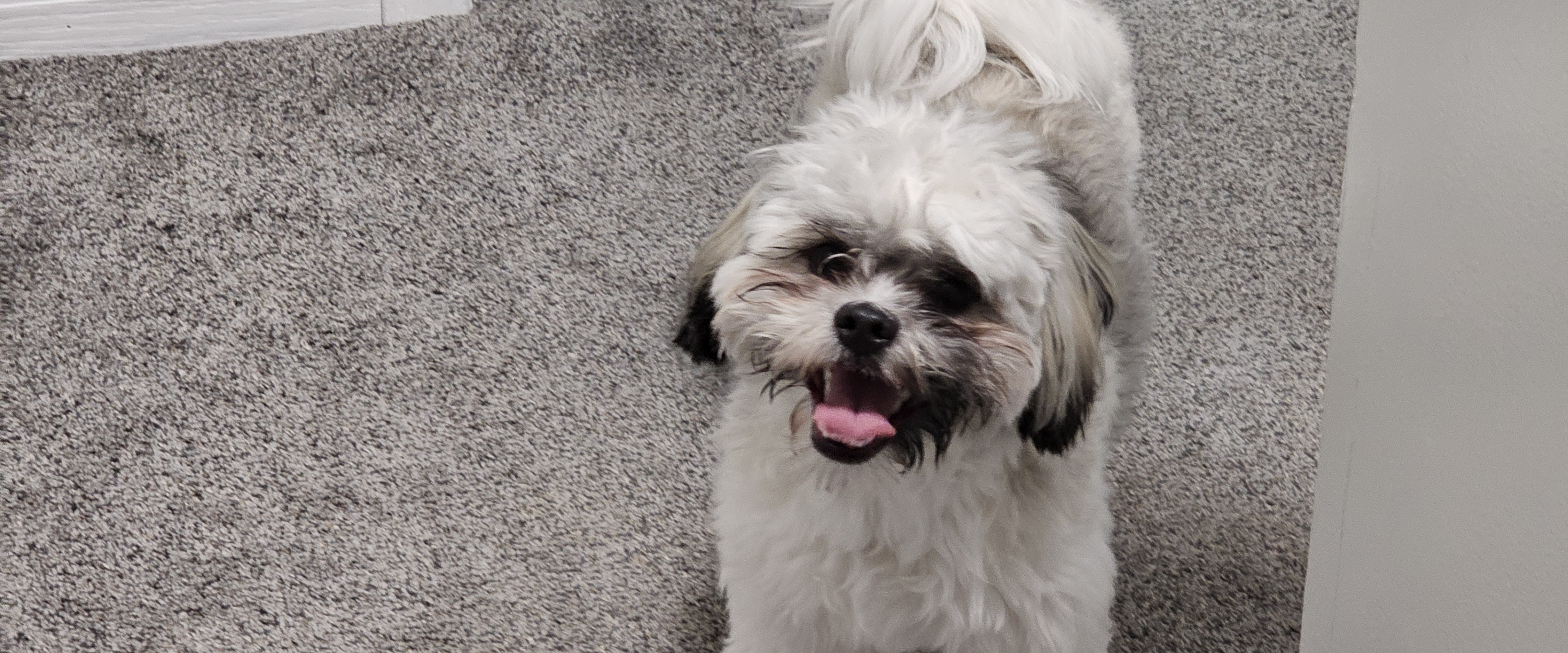 challenge background