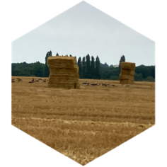 π¦βπ₯ΓTΓ π²15 000π²AOΓT /SEPTπ¦βπ₯ icon