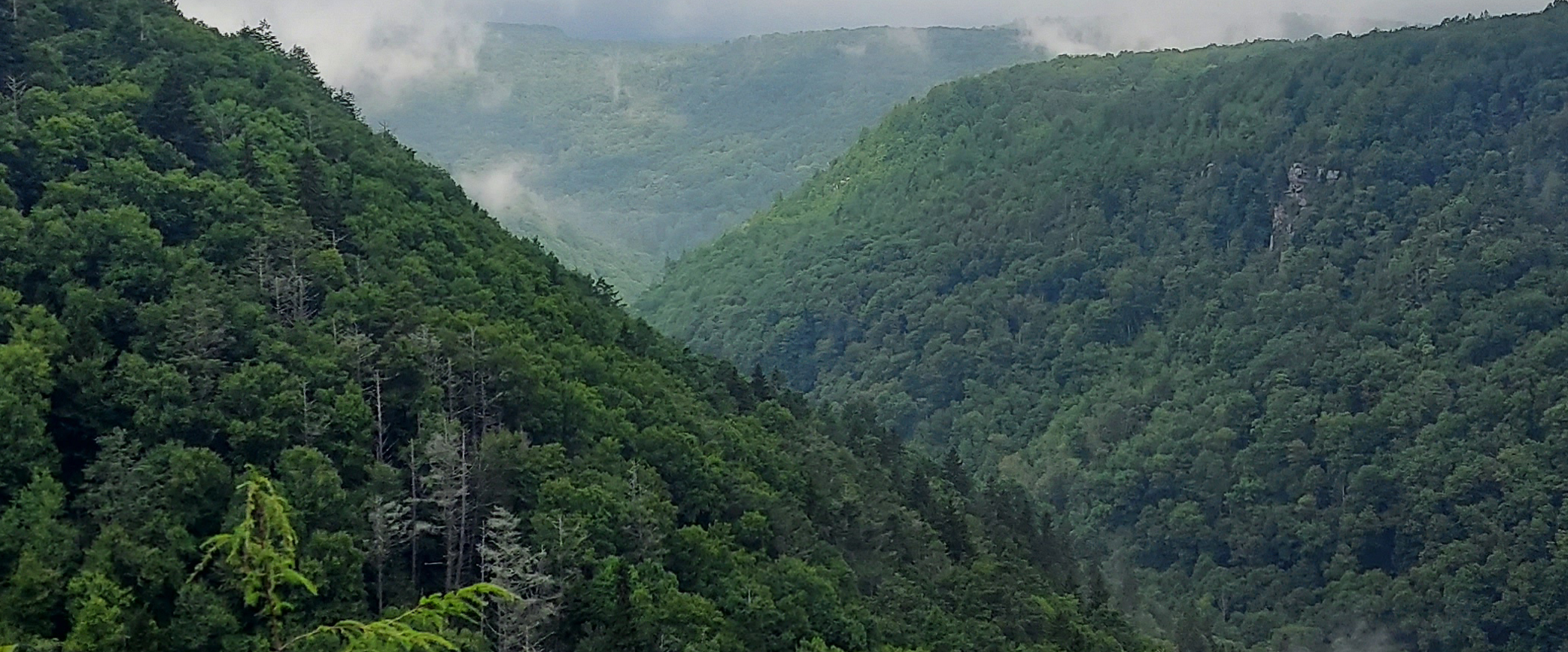 challenge background