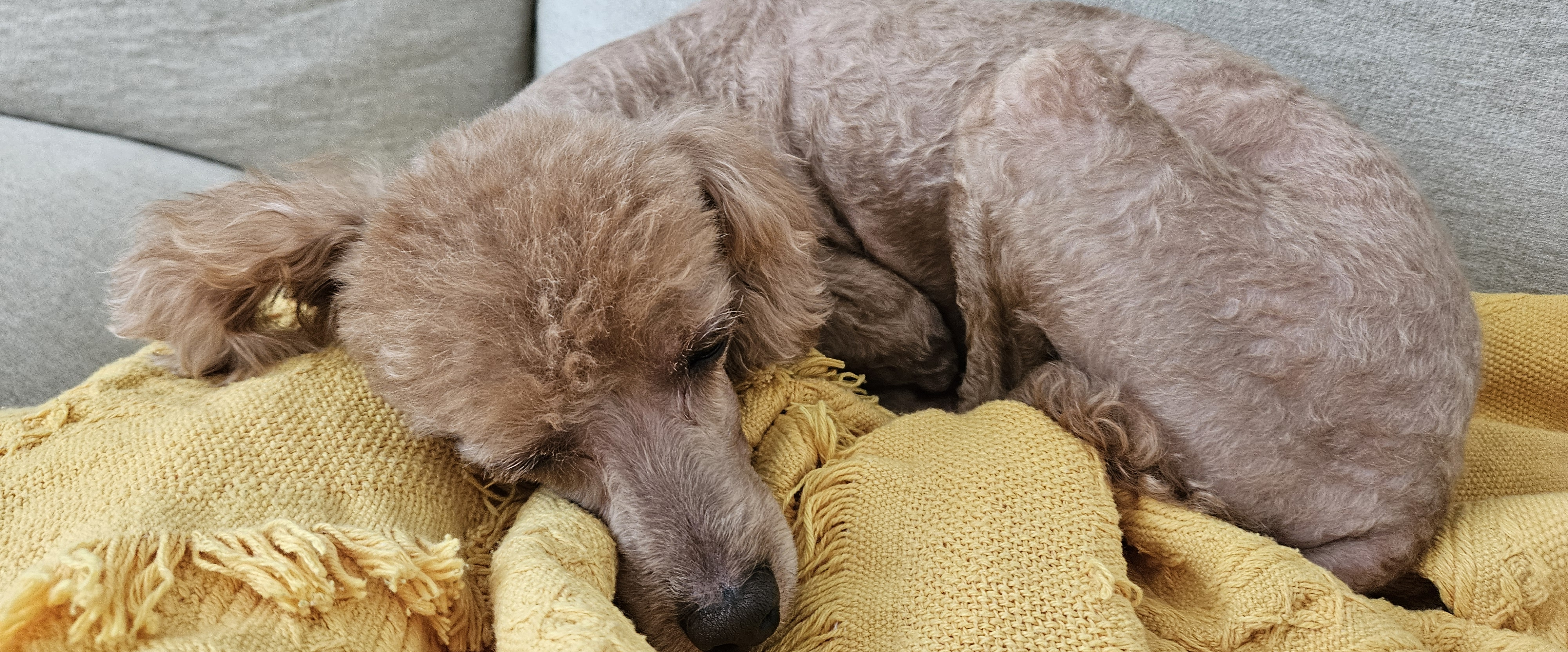 challenge background