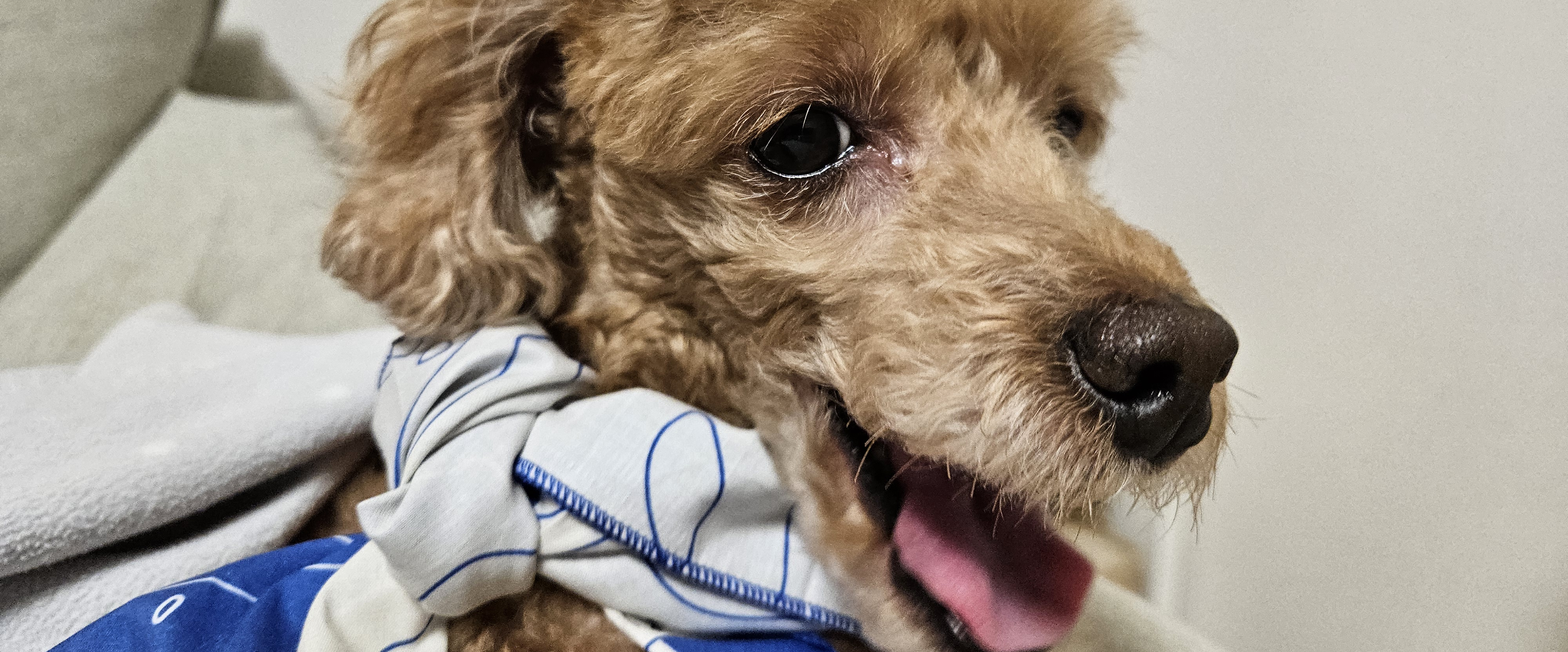 challenge background