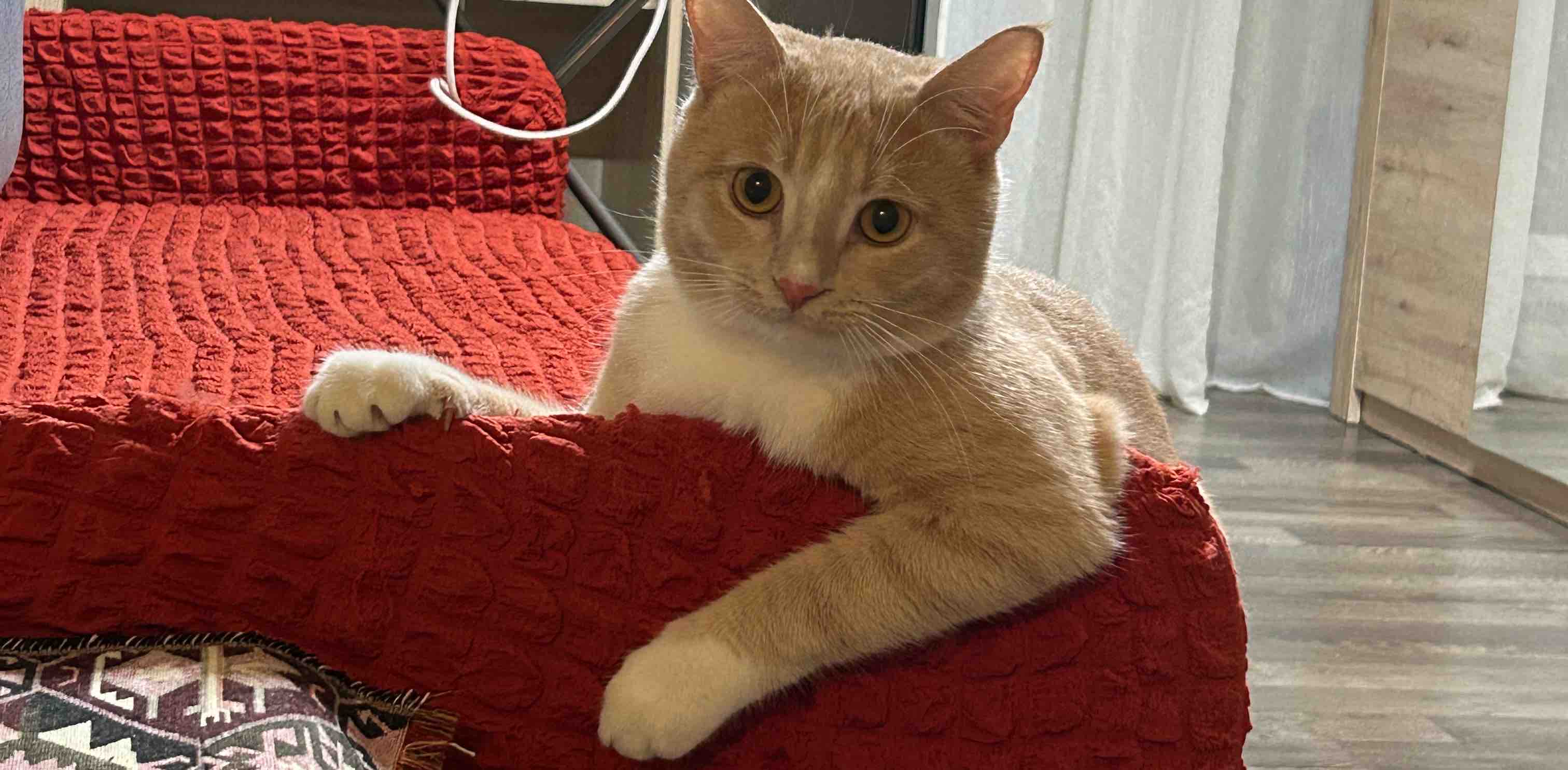 challenge background