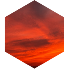 September Group 10 Million Steps Challenge icon