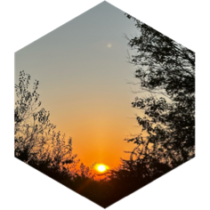 September 750K Steps Challenge icon