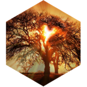 Autumn Equinox 22K Challenge icon