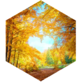 September Steps Competition (20k limit) icon