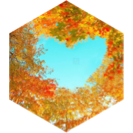 September Steps Competition (100k limit) icon