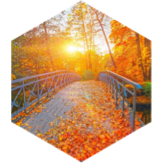 September 3km GPS Race icon