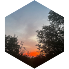 September 1 km Race icon