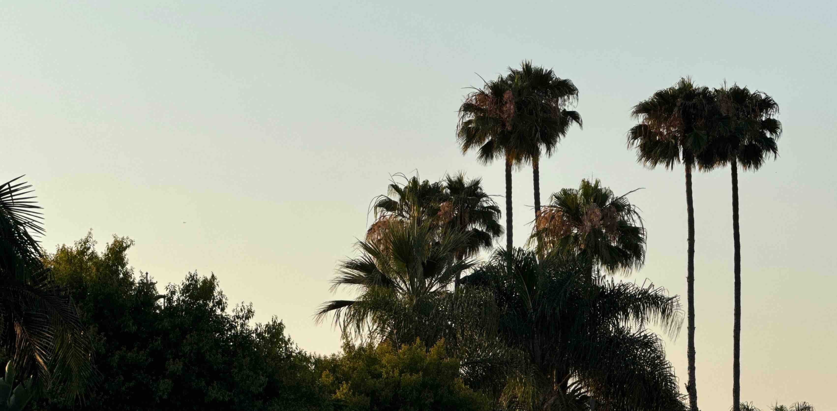 challenge background