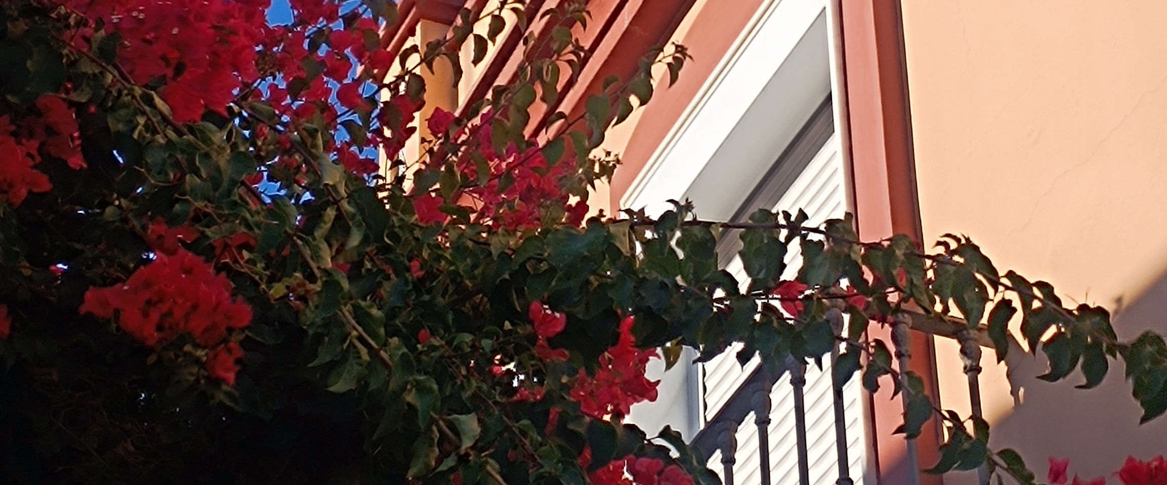 challenge background