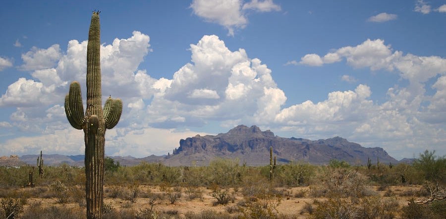 challenge background