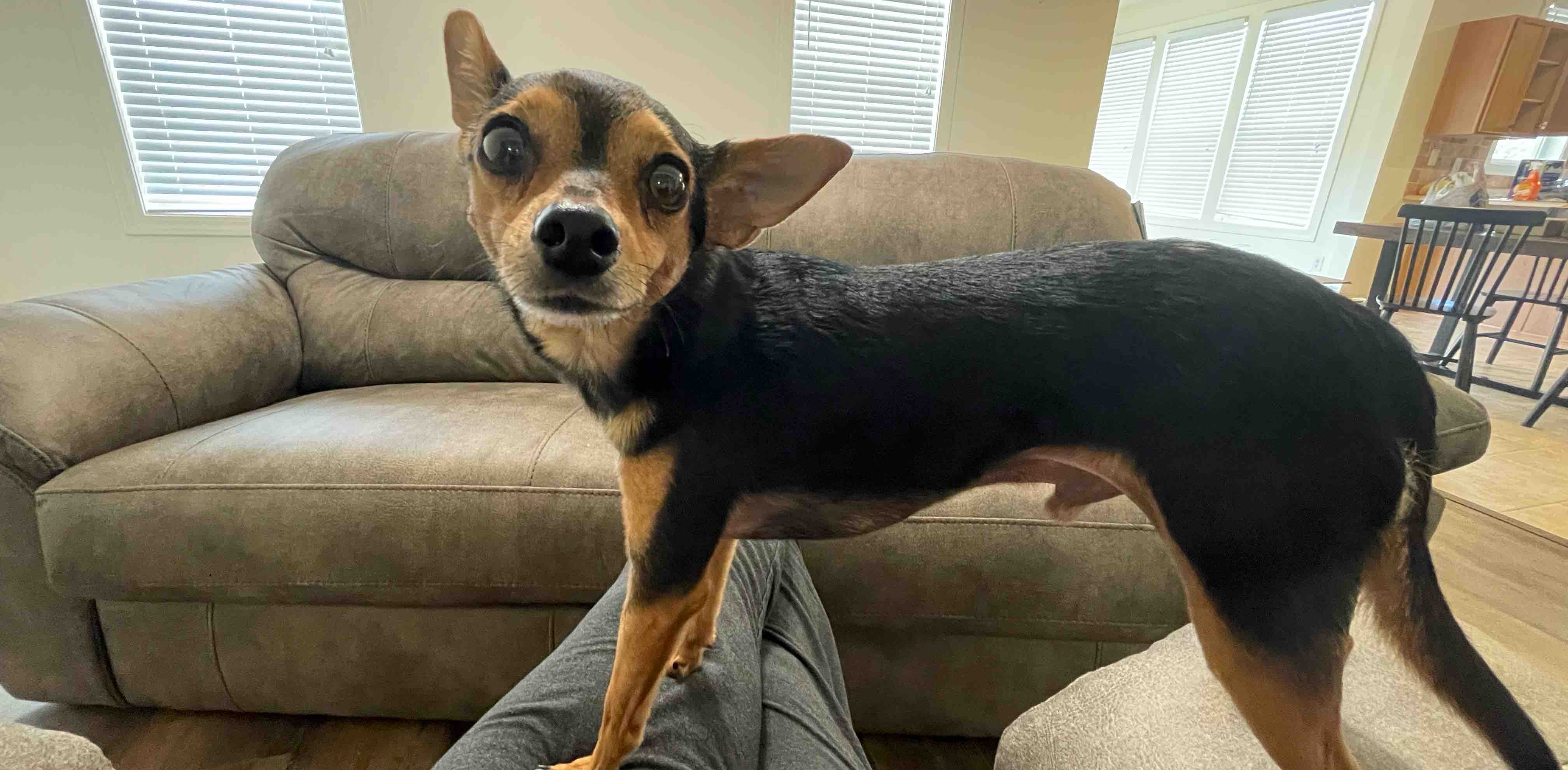 challenge background