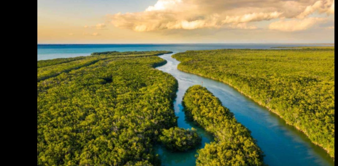 challenge background