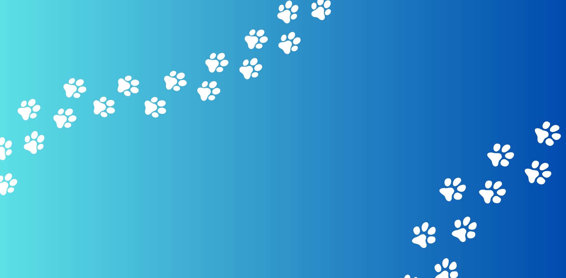 challenge background