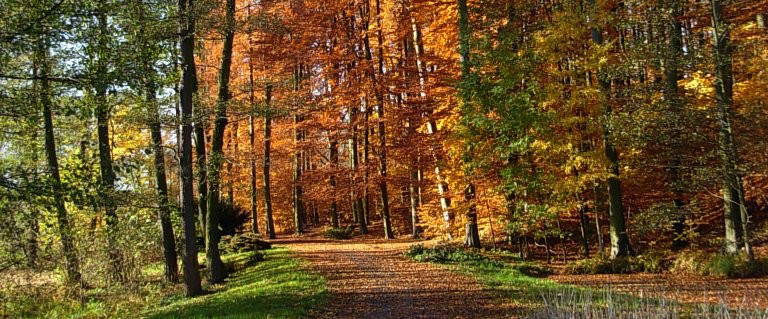 challenge background