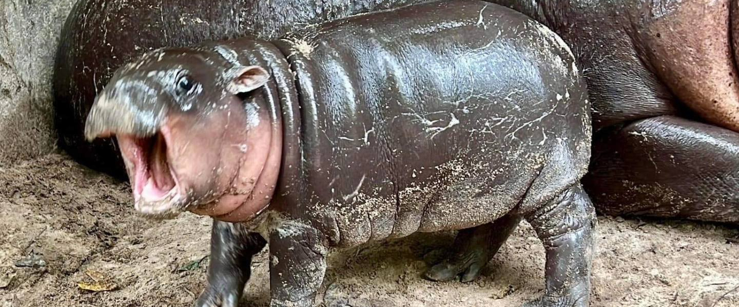 challenge background