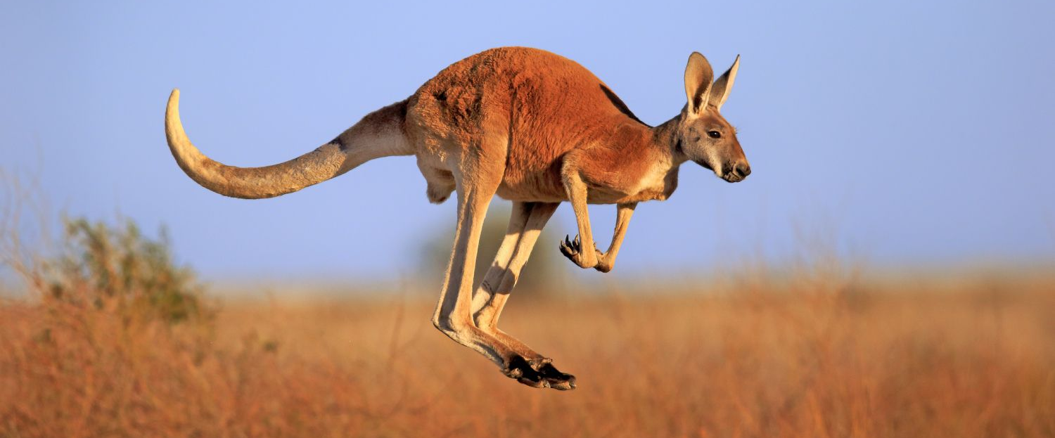 challenge background