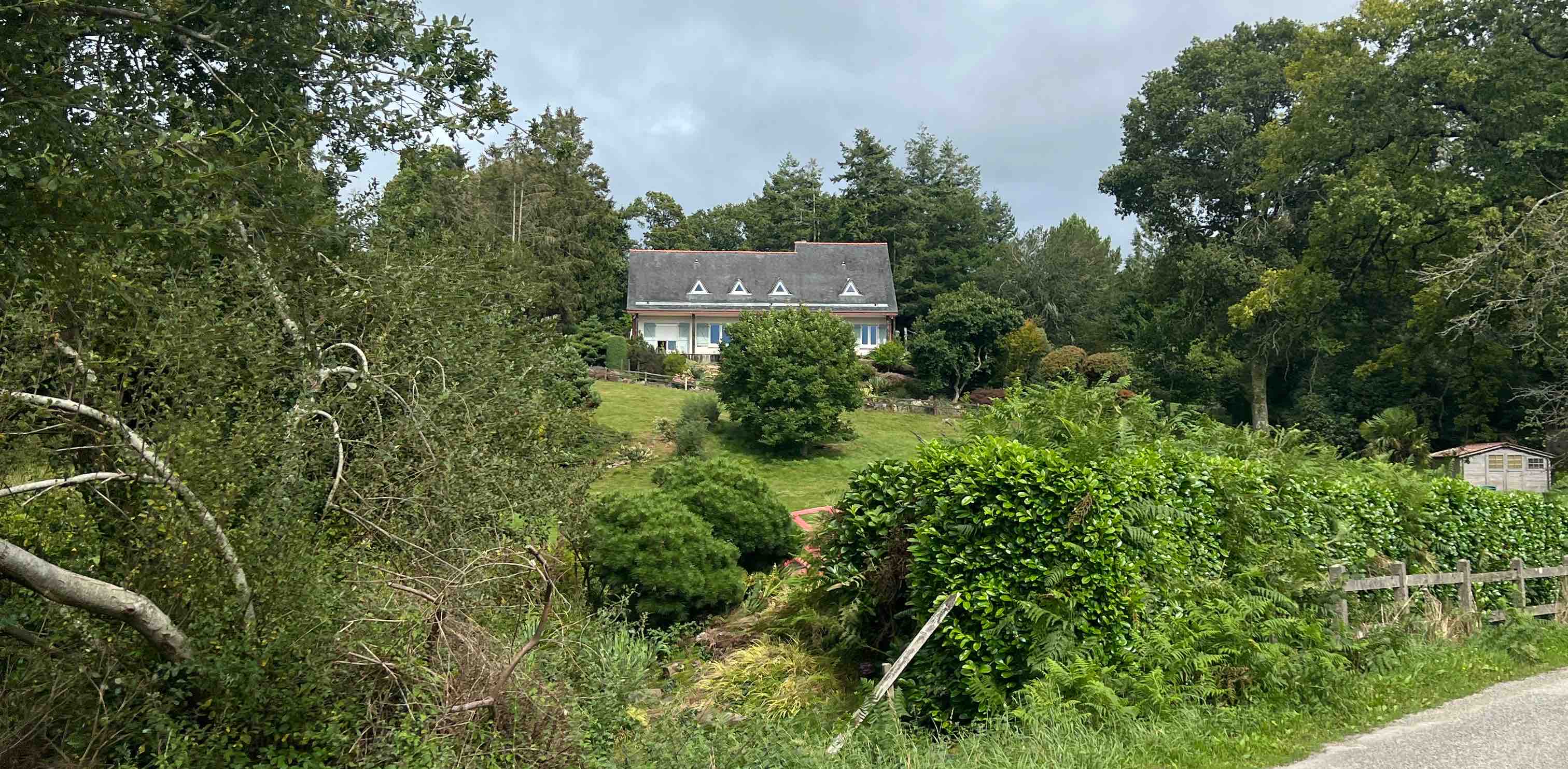 challenge background