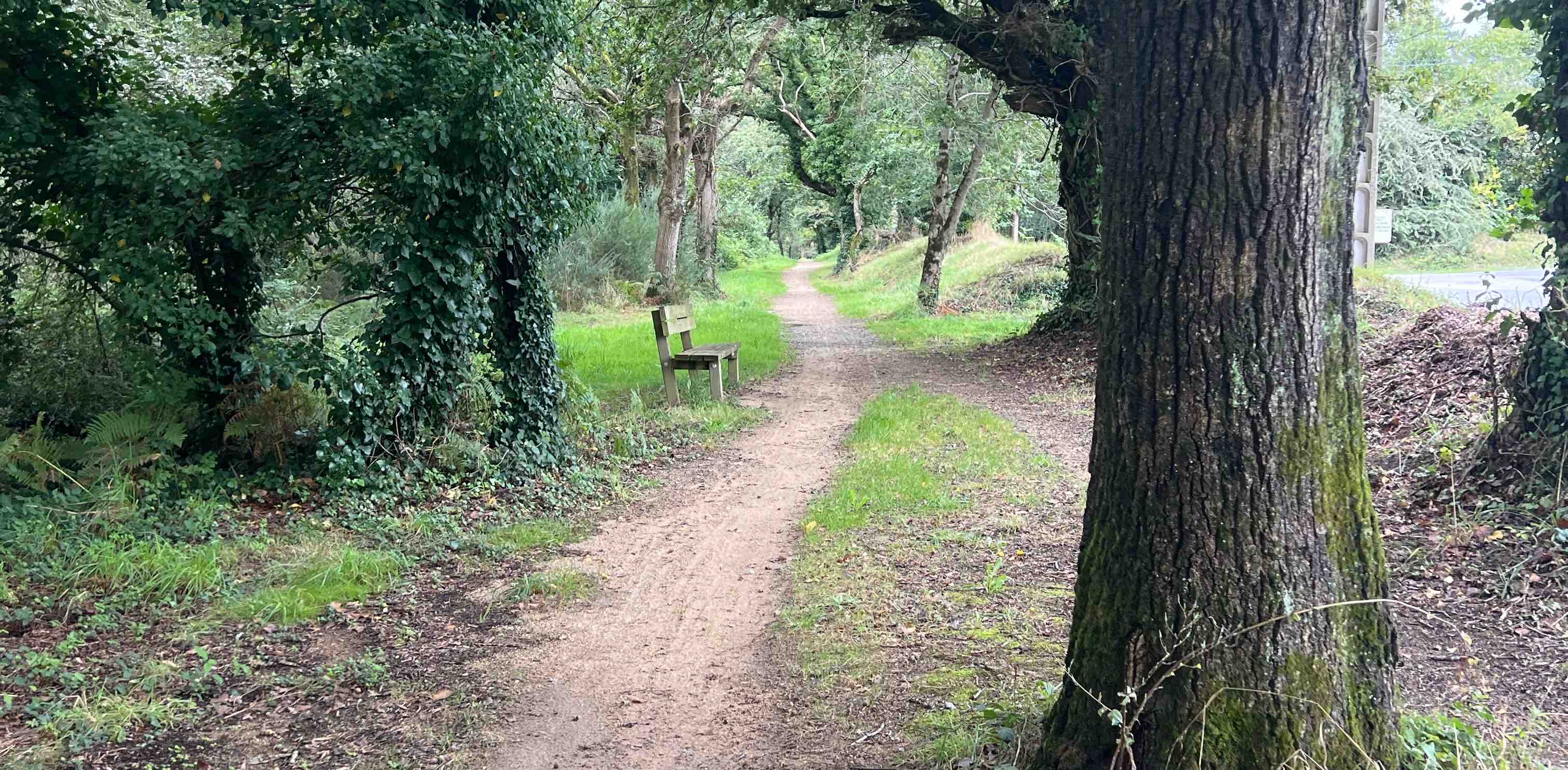 challenge background