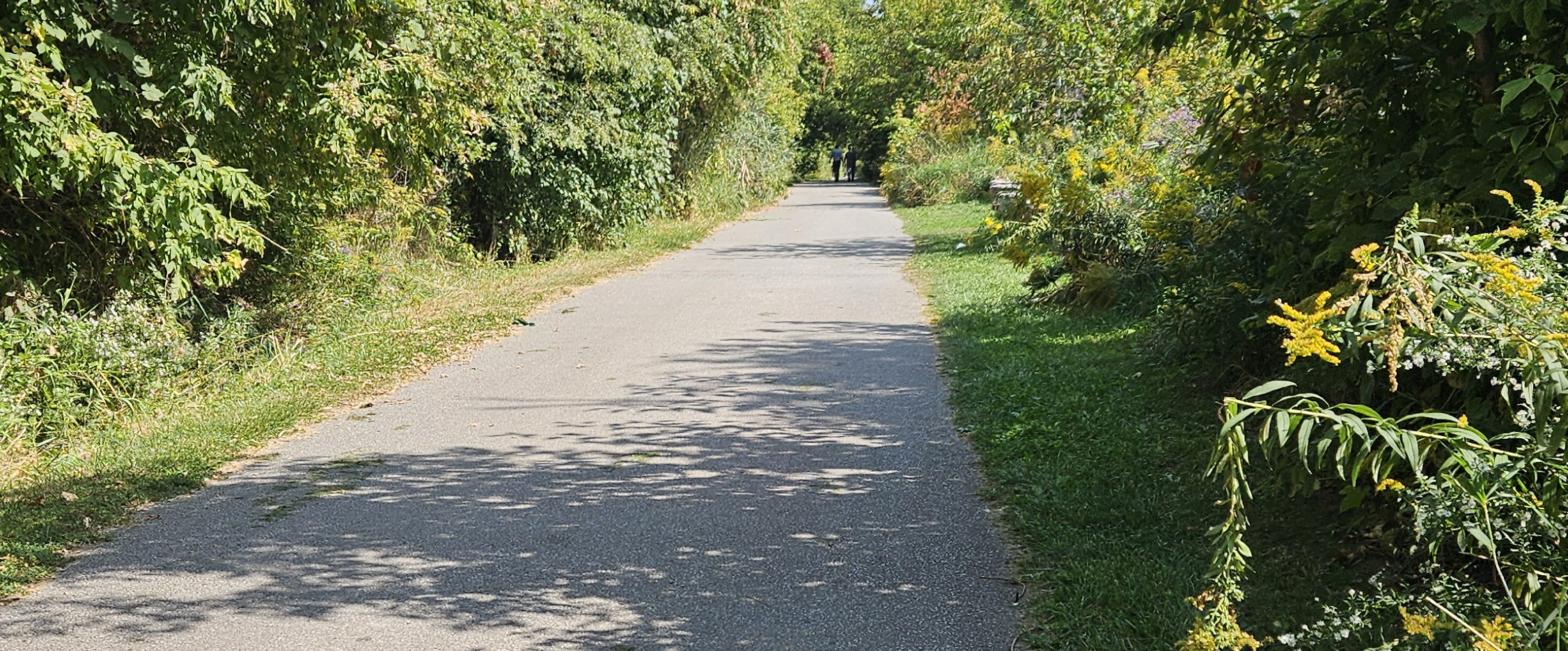 challenge background