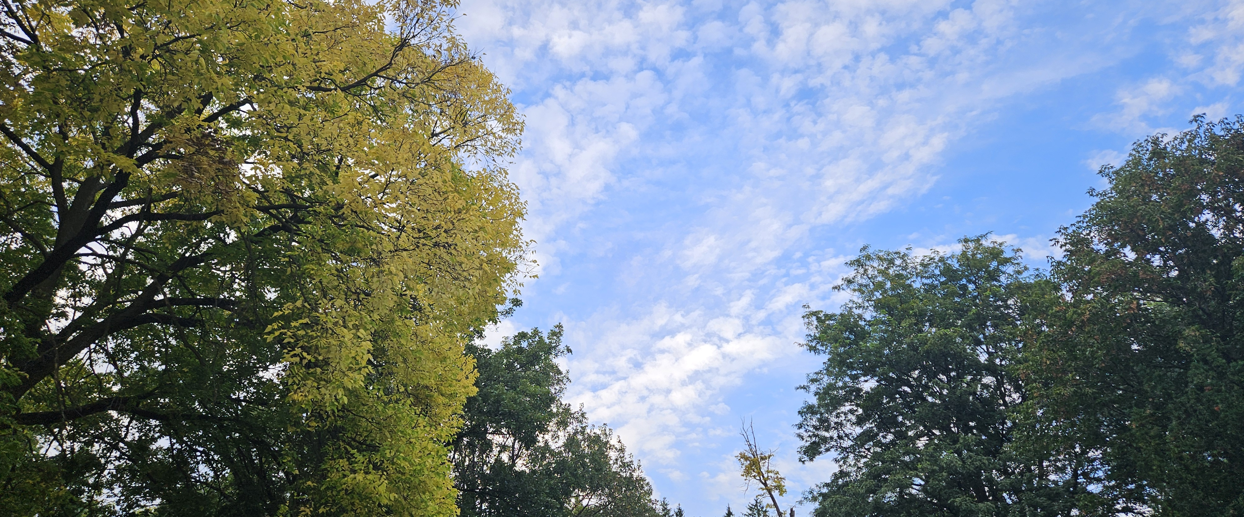 challenge background