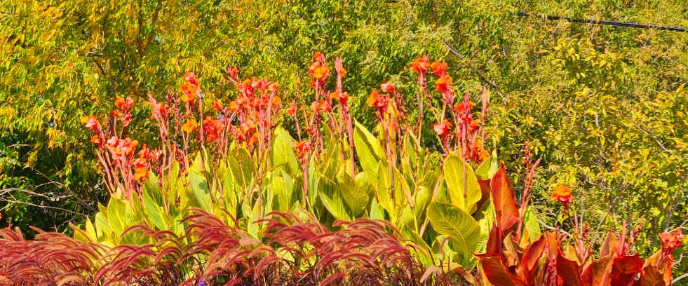 challenge background