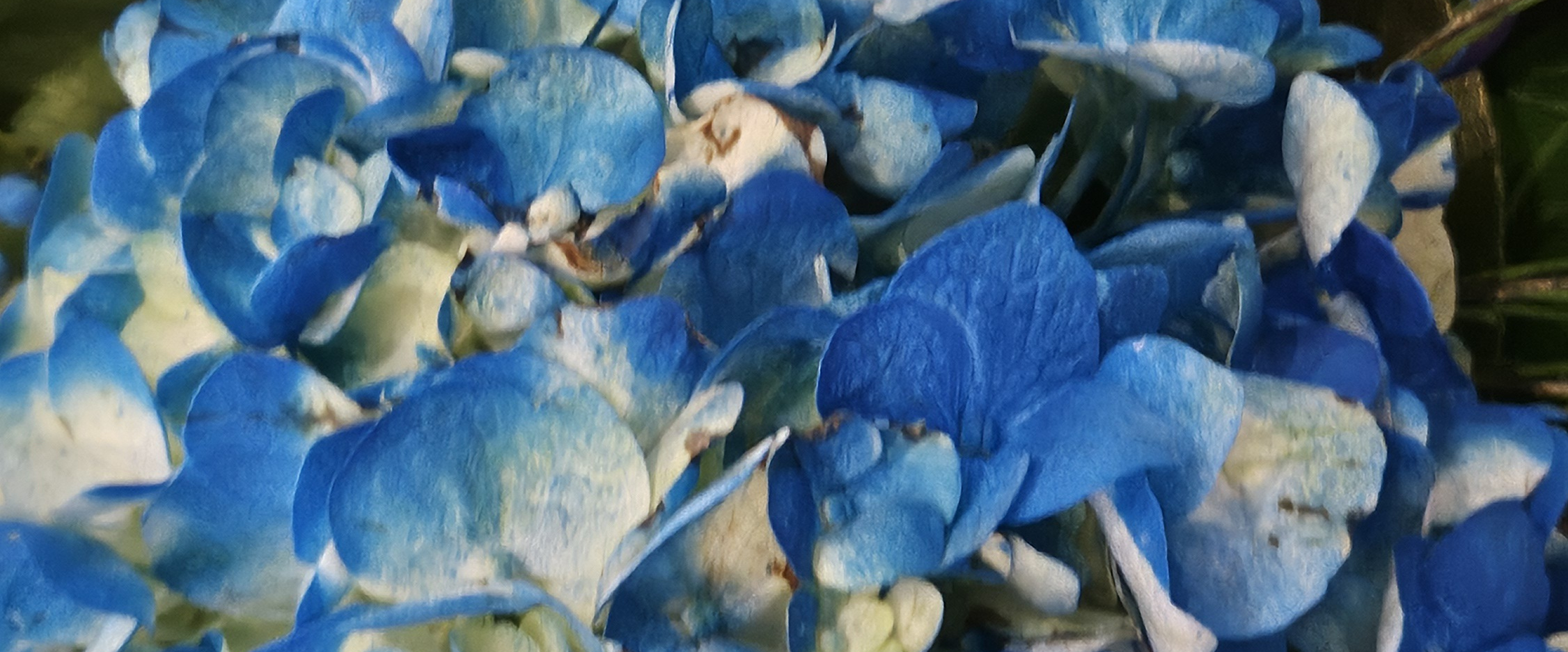 challenge background